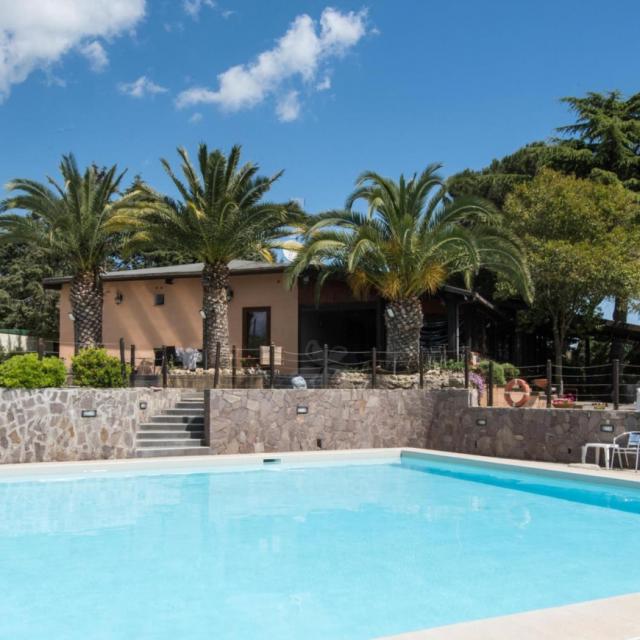 Villa con piscina, palme e giardino, ideale per vacanze rilassanti.
