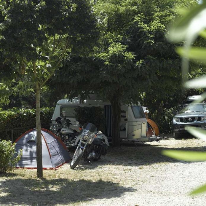 Campeggio con tenda, motociclette, caravan e auto sotto alberi ombrosi.